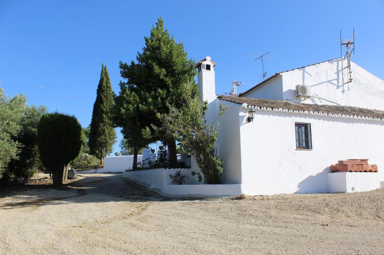 Casa Rural Faltriquera Setenil Setenil De Las Bodegas Exteriör bild