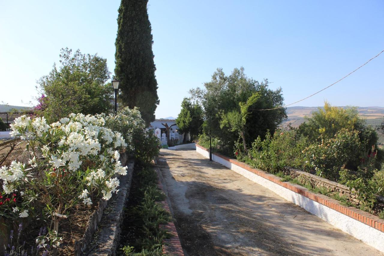Casa Rural Faltriquera Setenil Setenil De Las Bodegas Exteriör bild
