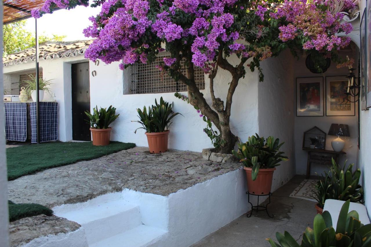 Casa Rural Faltriquera Setenil Setenil De Las Bodegas Exteriör bild